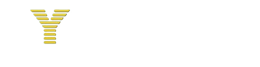 Dynâmico Contábil